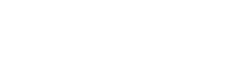 Network Solutions Logo