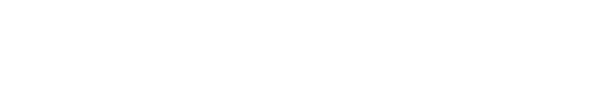 Northern Gym Equipment logo
