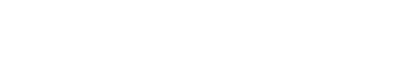 Obvious Solutions Logo