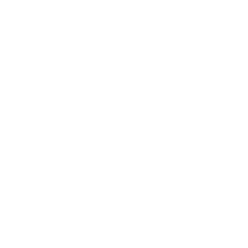 Ocelot Market Logo