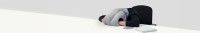 Ostrichpillow Banner