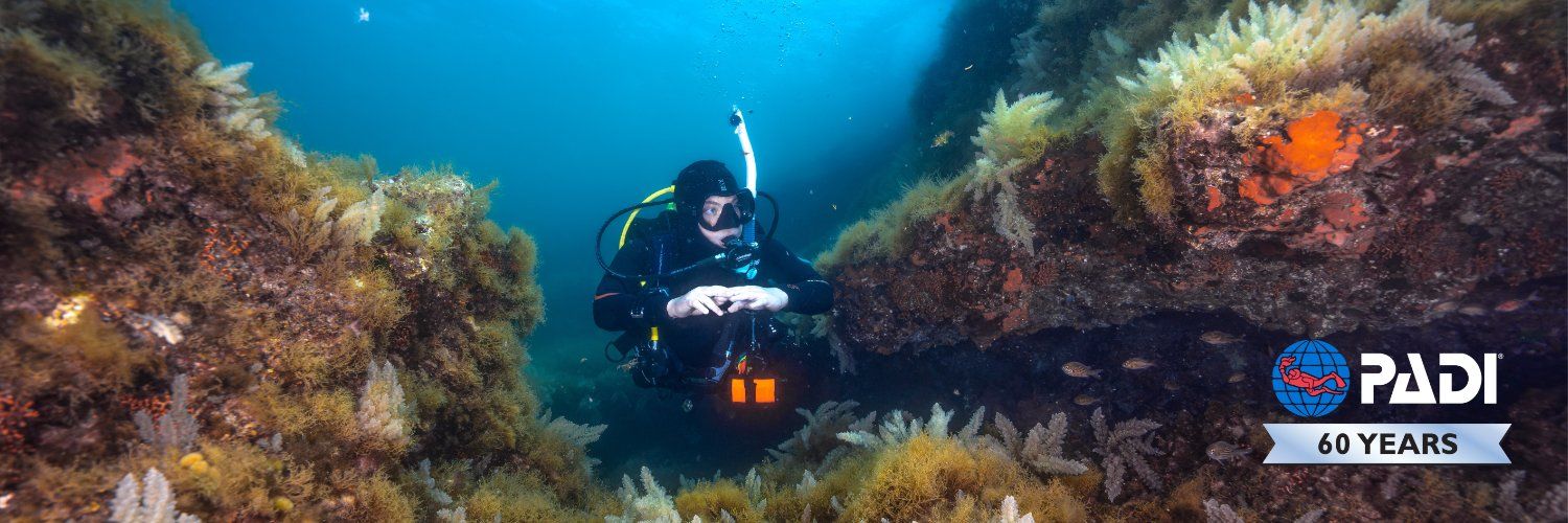 PADI Banner