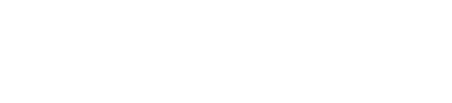 Pagewings Logo