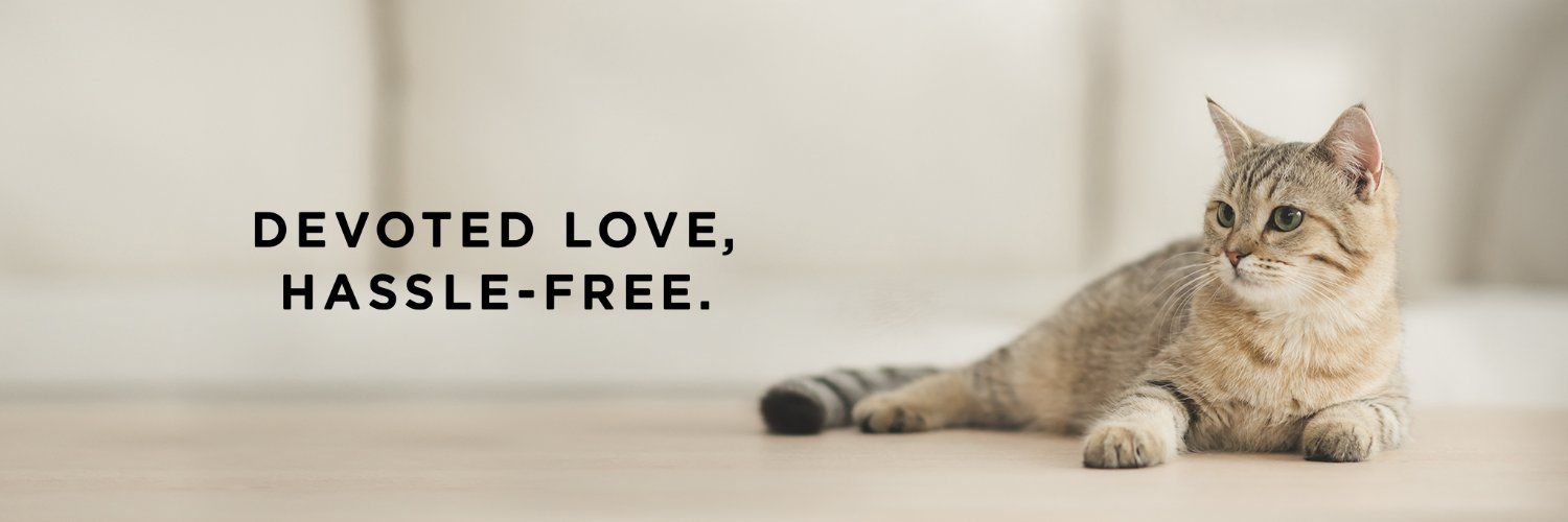 Petlibro UK Banner
