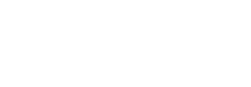 Point Logo