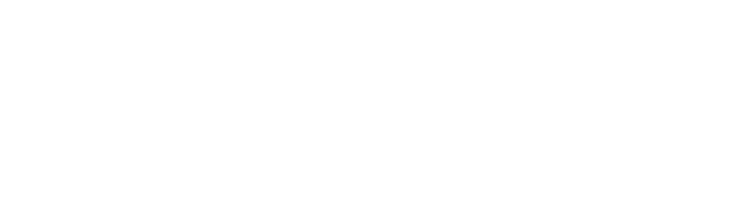 Polo-motorrad Logo