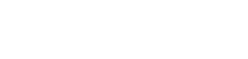 Potensic Logo