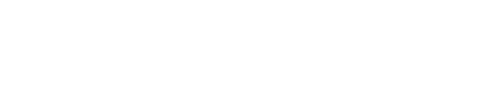 Povison Logo