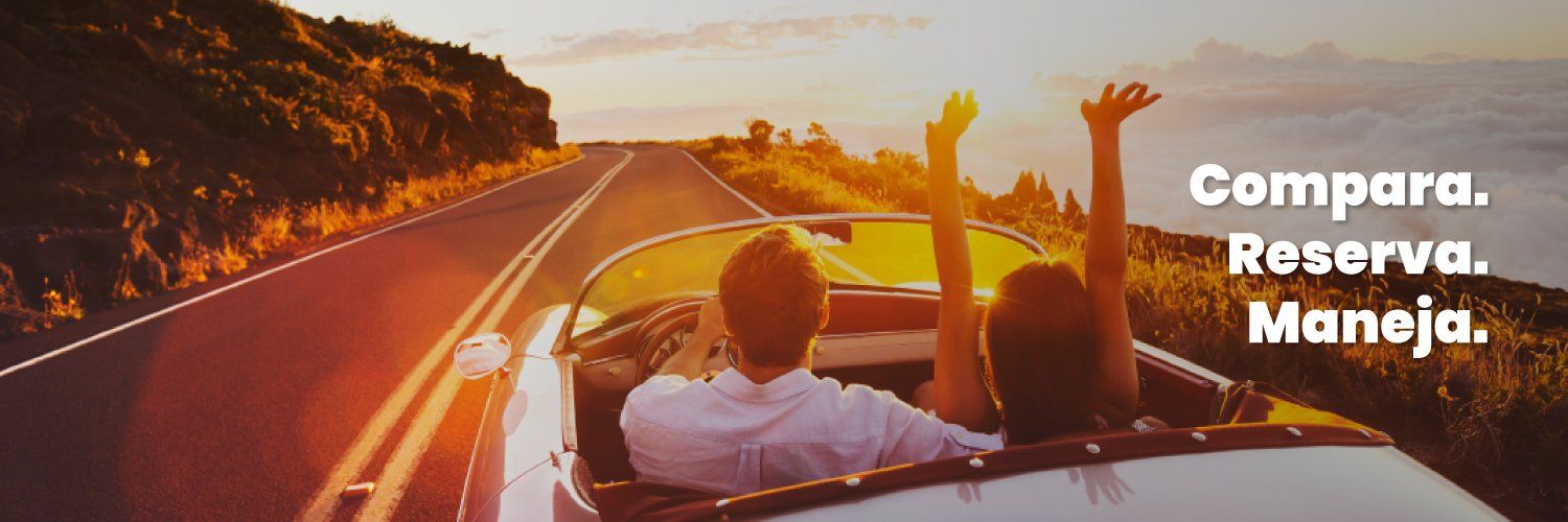 Renting Carz Banner