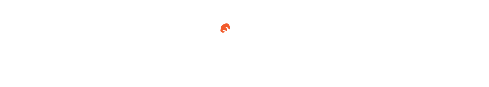 Roto Baller Logo