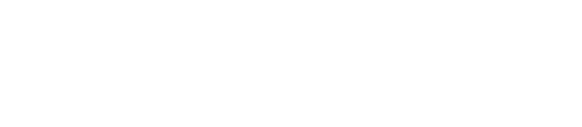 Ryder Toys Logo