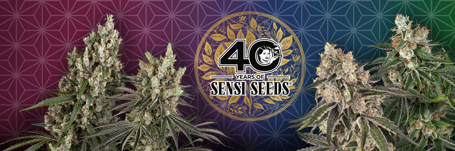 SensiSeeds US Banner