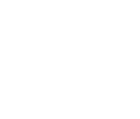 SkyViewObservatory Logo