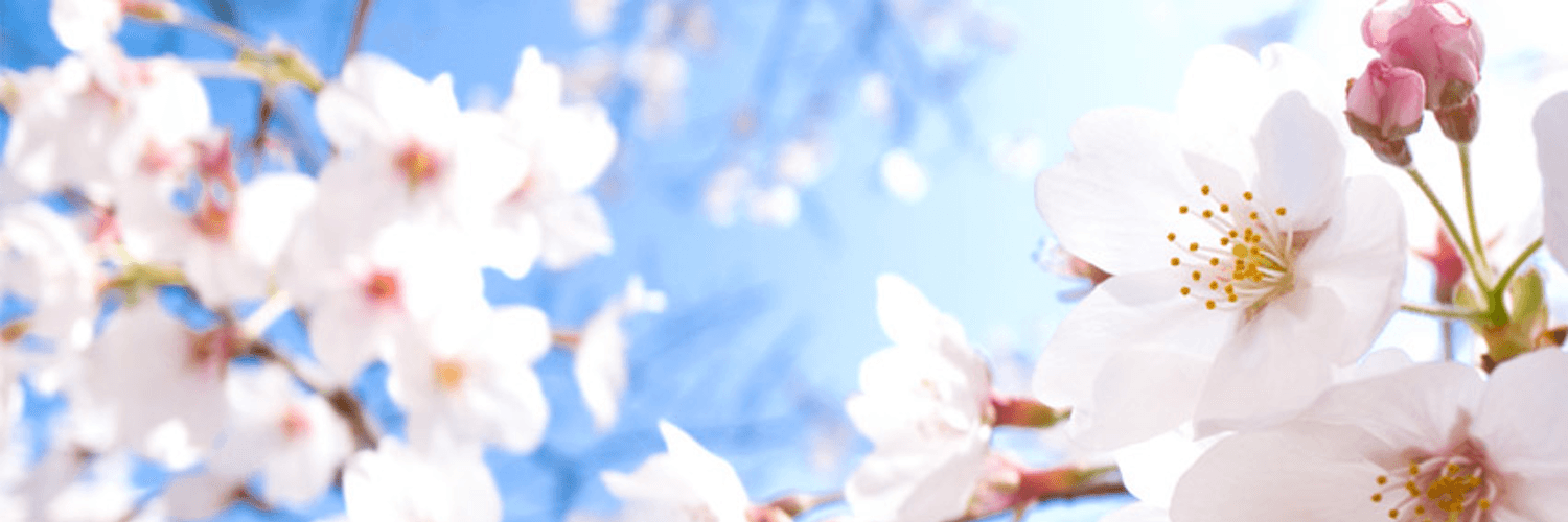 Snapfish Banner