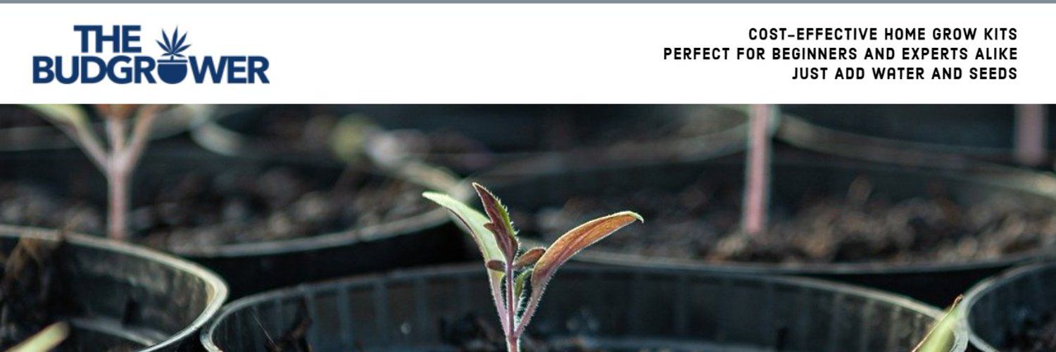 The Budgrower Banner