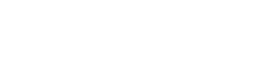 Valerion logo