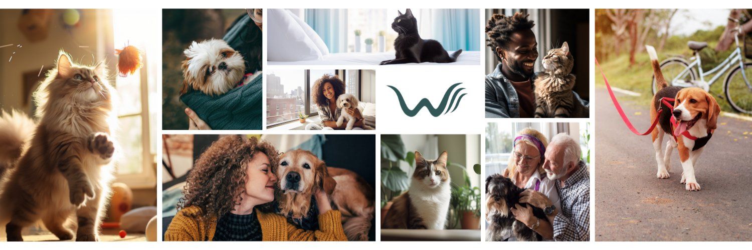 Wellness Wag Banner